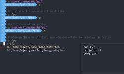 Featured image of post zoxide 使用感受